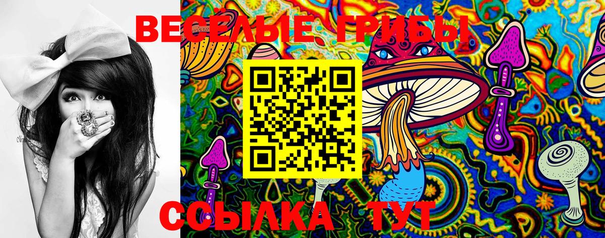 Псилоцибиновые грибы MAGIC MUSHROOMS  Псилоцибиновые грибы GOLDEN TEACHER  Вход с VPN  Балтийск 